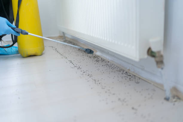 Best Pest Prevention Services  in Sturgis, MI